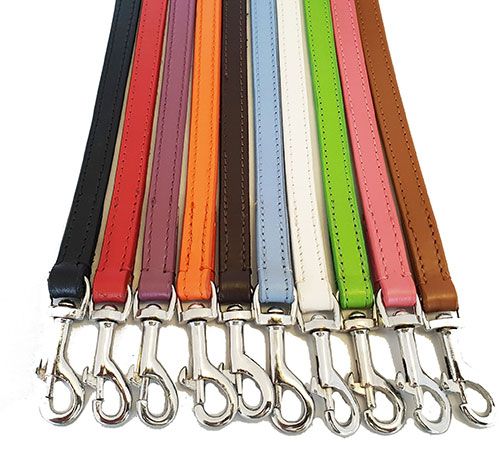 Leather Dog Leads 2 Cm Wide 80 CM long Range Of Colours