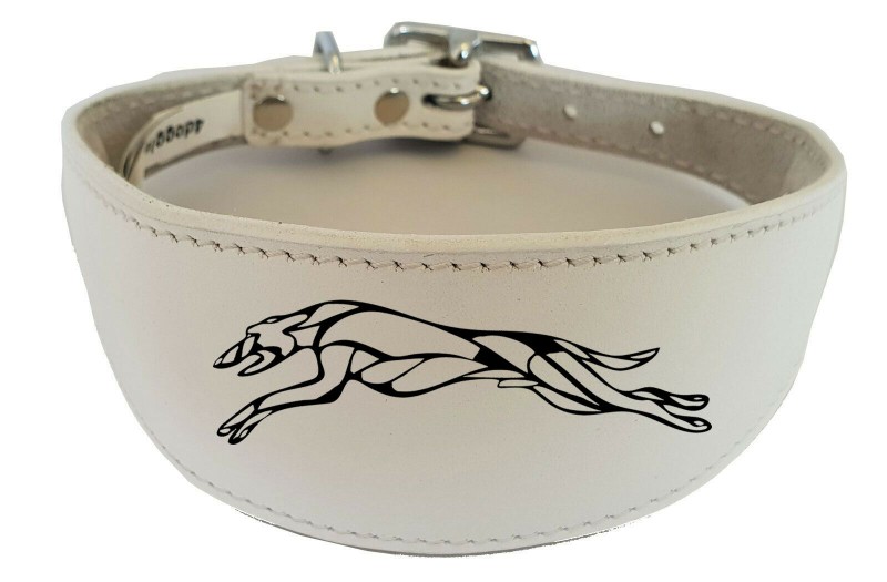 Greyhound Whippet Collar Real Leather Dog Col